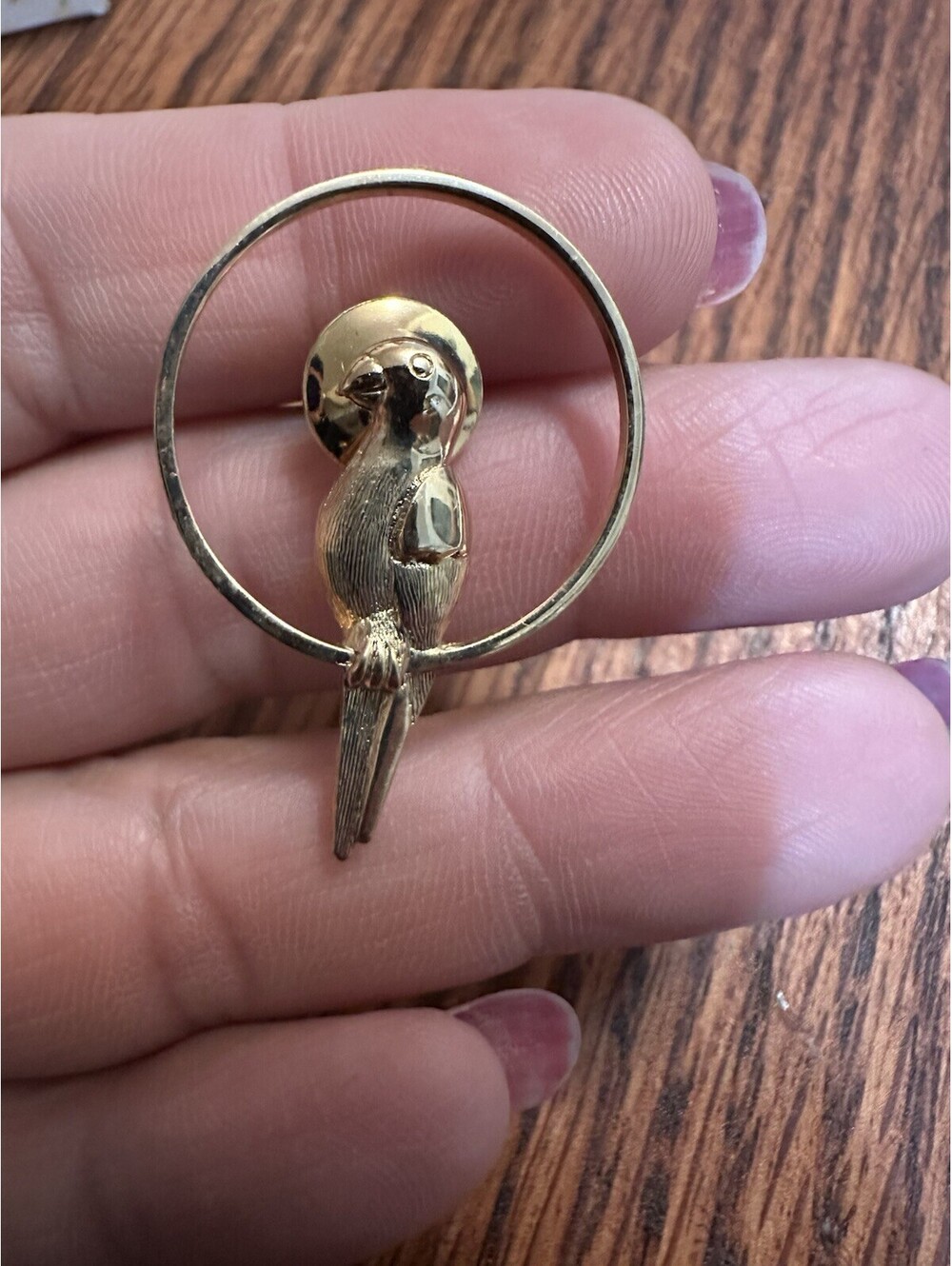 LOVELY SIGNED AVON VINTAGE PARROT IN RING/HOOP GOLD TONE METAL BROOCH PIN